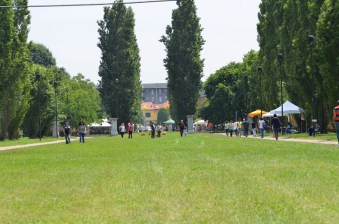 Il Viale e la Villa